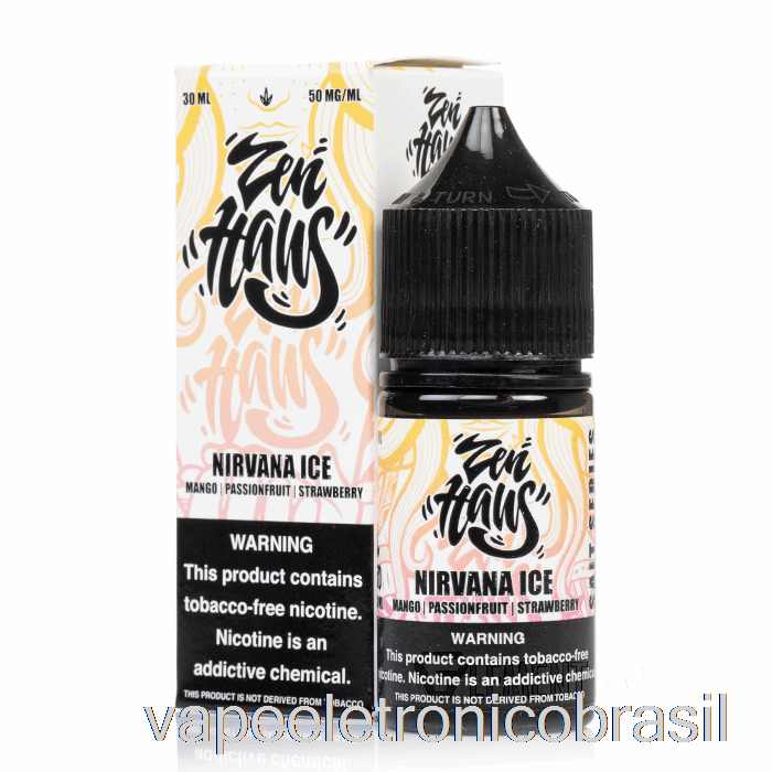 Vape Recarregável Nirvana Ice - Sais Zen Haus - 30ml 30mg